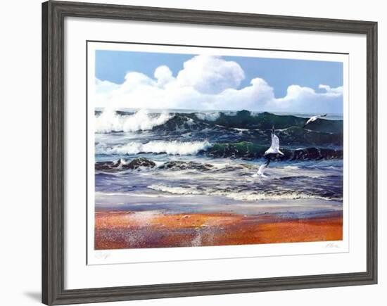 After the storm-Uwe Werner-Framed Collectable Print