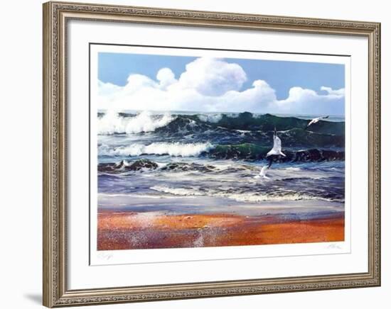 After the storm-Uwe Werner-Framed Collectable Print