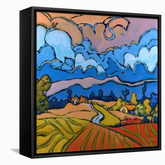 After the Storm-Don Tiller-Framed Premier Image Canvas