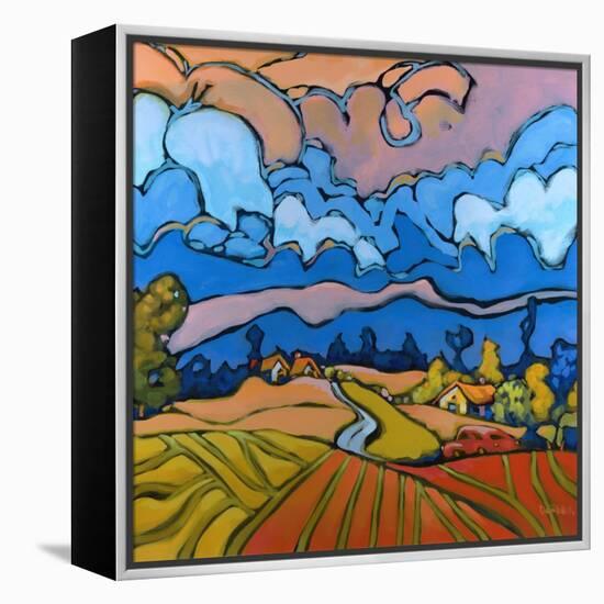 After the Storm-Don Tiller-Framed Premier Image Canvas