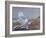 After the Storm-Bruce Dumas-Framed Giclee Print