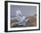 After the Storm-Bruce Dumas-Framed Giclee Print