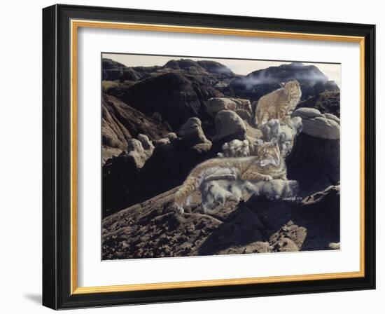 After the Storm-Gordon Semmens-Framed Giclee Print