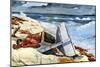 After the Tornado-Winslow Homer-Mounted Art Print