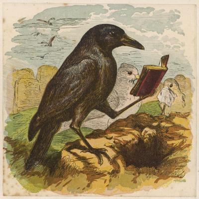 'After the Unfortunate Death of Cock Robin, the Rook Reads the Burial ...