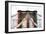 After Twitch NYC - Brooklyn Bridge-Philippe Hugonnard-Framed Photographic Print