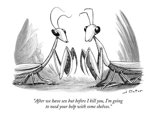 after-we-have-sex-but-before-i-kill-you-i-m-going-to-need-your-help-with-new-yorker-cartoon_u-l-pgr13x0.jpg