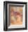 Afterglow-Nancy Ortenstone-Framed Art Print