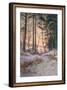 Afterglow-Joseph Farquharson-Framed Art Print