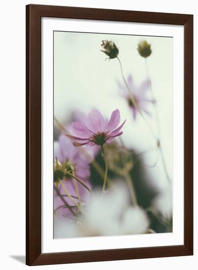 Afterlight-Irene Suchocki-Framed Giclee Print