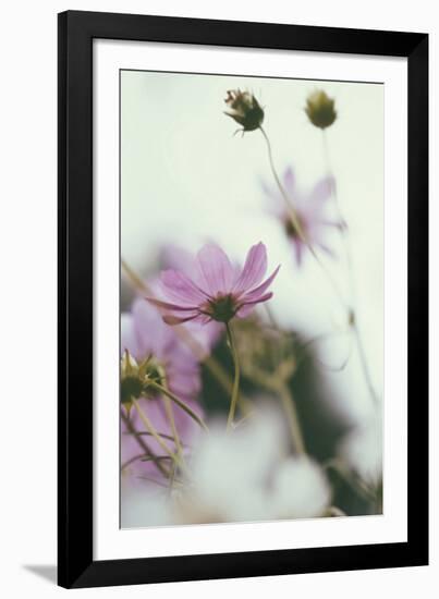 Afterlight-Irene Suchocki-Framed Giclee Print