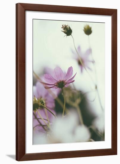 Afterlight-Irene Suchocki-Framed Giclee Print