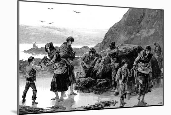 Aftermath of Famine, Ireland (1840), 1886-null-Mounted Giclee Print