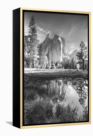 Afternoon at Cathedral Rocks, Reflections Yosemite Valley Black and White-Vincent James-Framed Premier Image Canvas