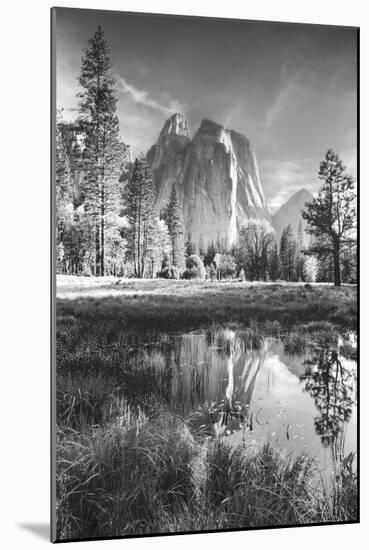 Afternoon at Cathedral Rocks, Reflections Yosemite Valley Black and White-Vincent James-Mounted Premium Photographic Print
