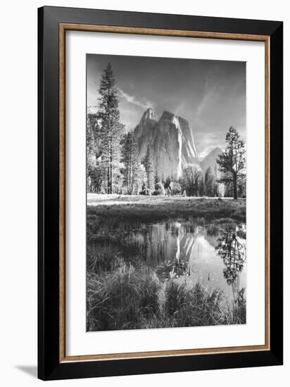 Afternoon at Cathedral Rocks, Reflections Yosemite Valley Black and White-Vincent James-Framed Photographic Print