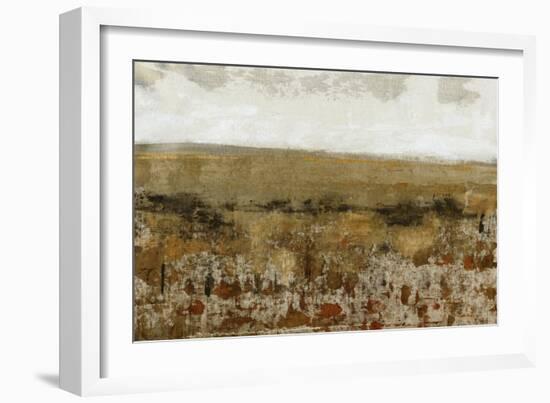 Afternoon Glow II-Tim O'toole-Framed Art Print