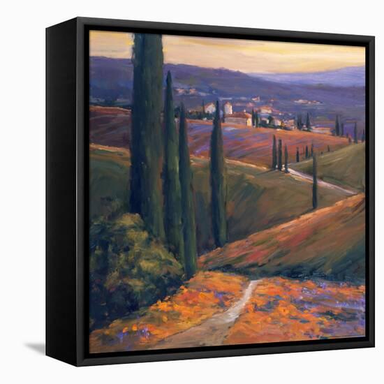 Afternoon I-Stevens Allayn-Framed Stretched Canvas