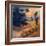 Afternoon II-Stevens Allayn-Framed Art Print