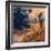 Afternoon II-Stevens Allayn-Framed Art Print