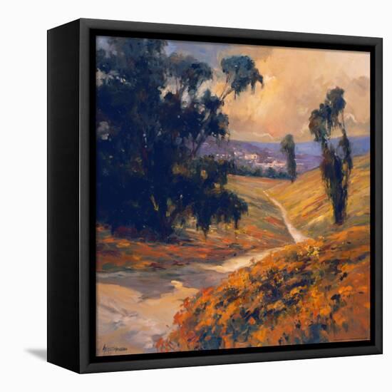 Afternoon II-Stevens Allayn-Framed Stretched Canvas