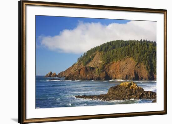 Afternoon Light along Short Beach and Indian Beach, Ecola State Park, Oregon Coast-Craig Tuttle-Framed Photographic Print