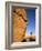 Afternoon Light on Rock and Tree, Joshua Tree National Park, California-Aaron McCoy-Framed Photographic Print