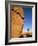 Afternoon Light on Rock and Tree, Joshua Tree National Park, California-Aaron McCoy-Framed Photographic Print