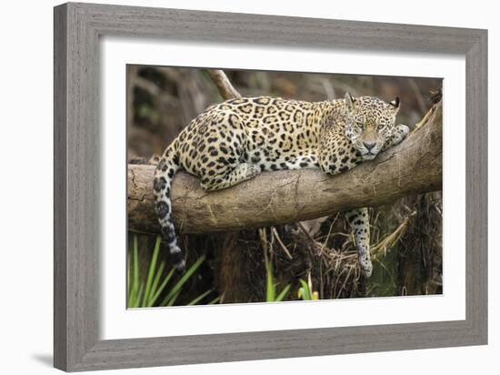 Afternoon Pause-Staffan Widstrand-Framed Giclee Print