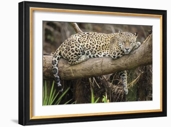 Afternoon Pause-Staffan Widstrand-Framed Giclee Print