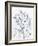 Afternoon Song Botanical III-Rikki Drotar-Framed Giclee Print