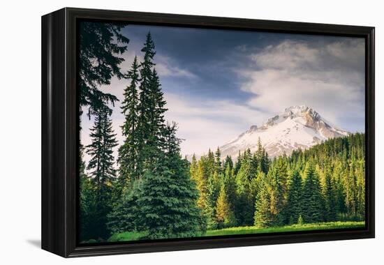 Afternoon Sun at Mount Hood Meadow, Government Camp, Oregon-Vincent James-Framed Premier Image Canvas