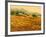 Afternoon Sun, Languedoc-Hazel Barker-Framed Giclee Print