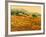 Afternoon Sun, Languedoc-Hazel Barker-Framed Giclee Print