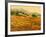 Afternoon Sun, Languedoc-Hazel Barker-Framed Giclee Print