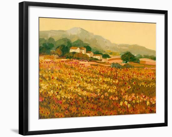 Afternoon Sun, Languedoc-Hazel Barker-Framed Giclee Print