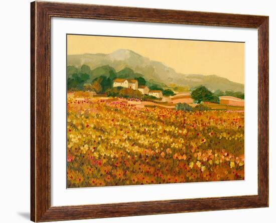 Afternoon Sun, Languedoc-Hazel Barker-Framed Giclee Print