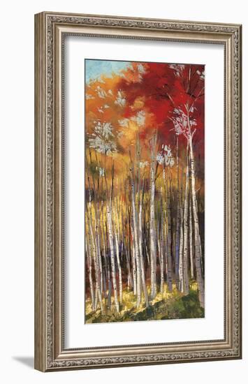 Afternoon Sunlight-Dennis Rhoades-Framed Giclee Print