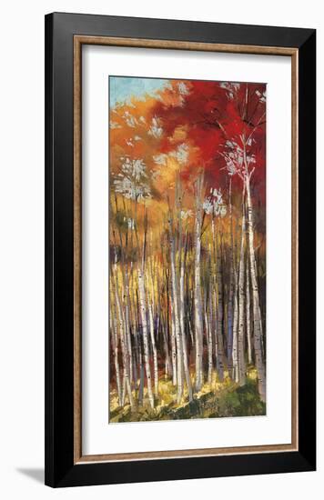 Afternoon Sunlight-Dennis Rhoades-Framed Giclee Print