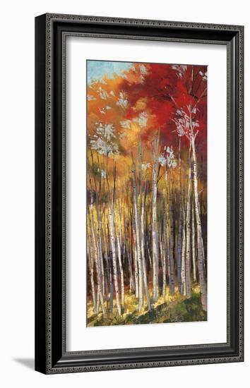 Afternoon Sunlight-Dennis Rhoades-Framed Giclee Print