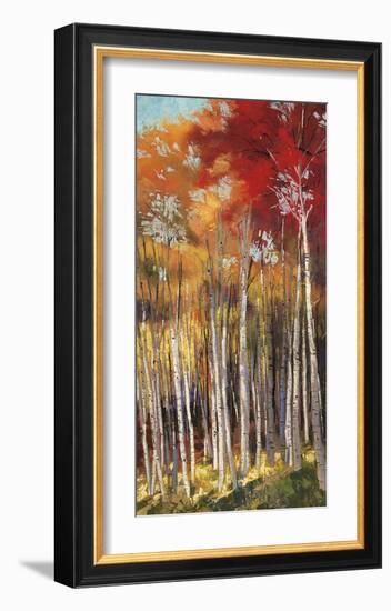 Afternoon Sunlight-Dennis Rhoades-Framed Giclee Print