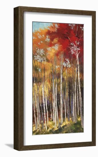 Afternoon Sunlight-Dennis Rhoades-Framed Giclee Print