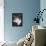 Afternoon Tea con Bottiglia Blu-Danka Weitzen-Framed Premier Image Canvas displayed on a wall