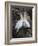 Afterplay-Greg Barsh-Framed Photographic Print