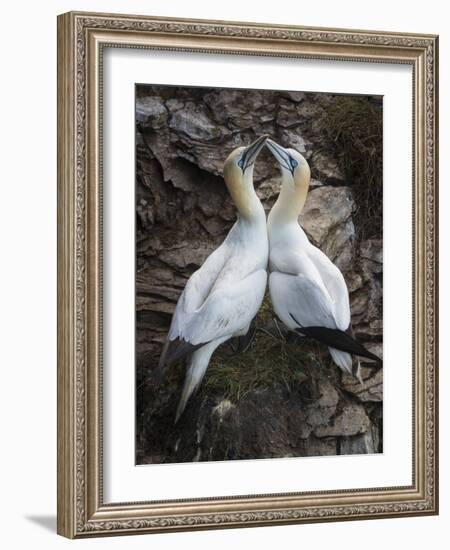 Afterplay-Greg Barsh-Framed Photographic Print