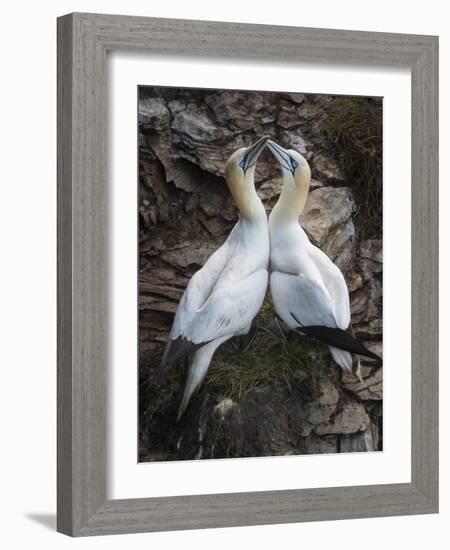 Afterplay-Greg Barsh-Framed Photographic Print