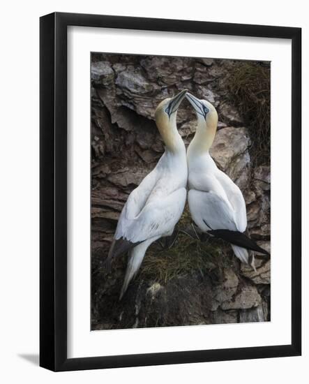 Afterplay-Greg Barsh-Framed Photographic Print