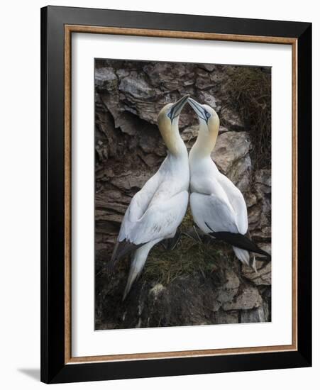 Afterplay-Greg Barsh-Framed Photographic Print