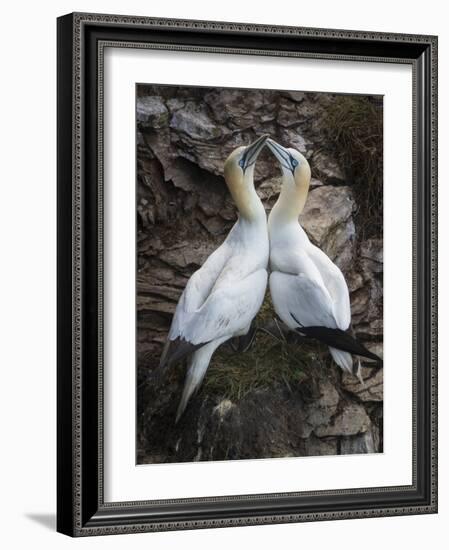 Afterplay-Greg Barsh-Framed Photographic Print