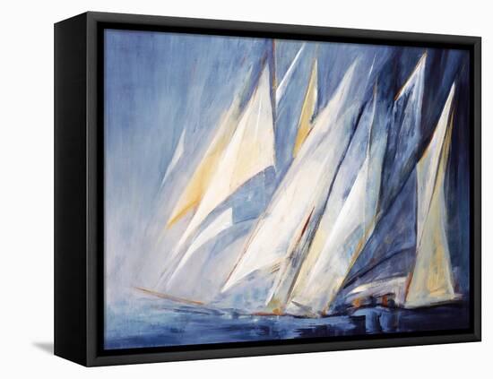 Against the Wind-María Antonia Torres-Framed Stretched Canvas